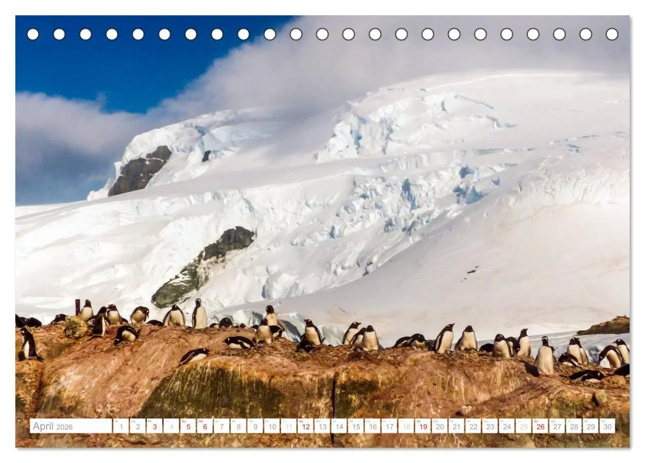 Bild: 9783516192650 | Antarktis - Das Reich der Pinguine (Tischkalender 2026 DIN A5...