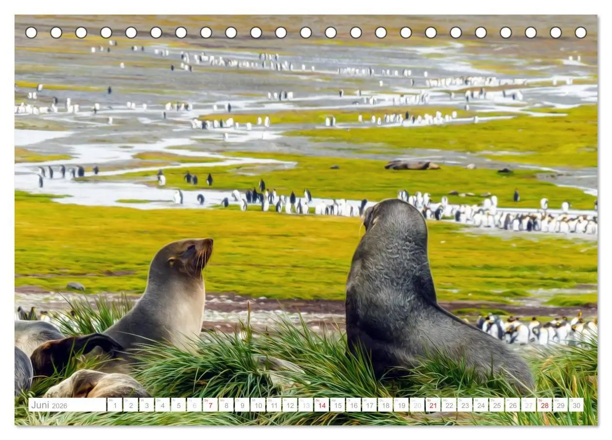 Bild: 9783516192650 | Antarktis - Das Reich der Pinguine (Tischkalender 2026 DIN A5...