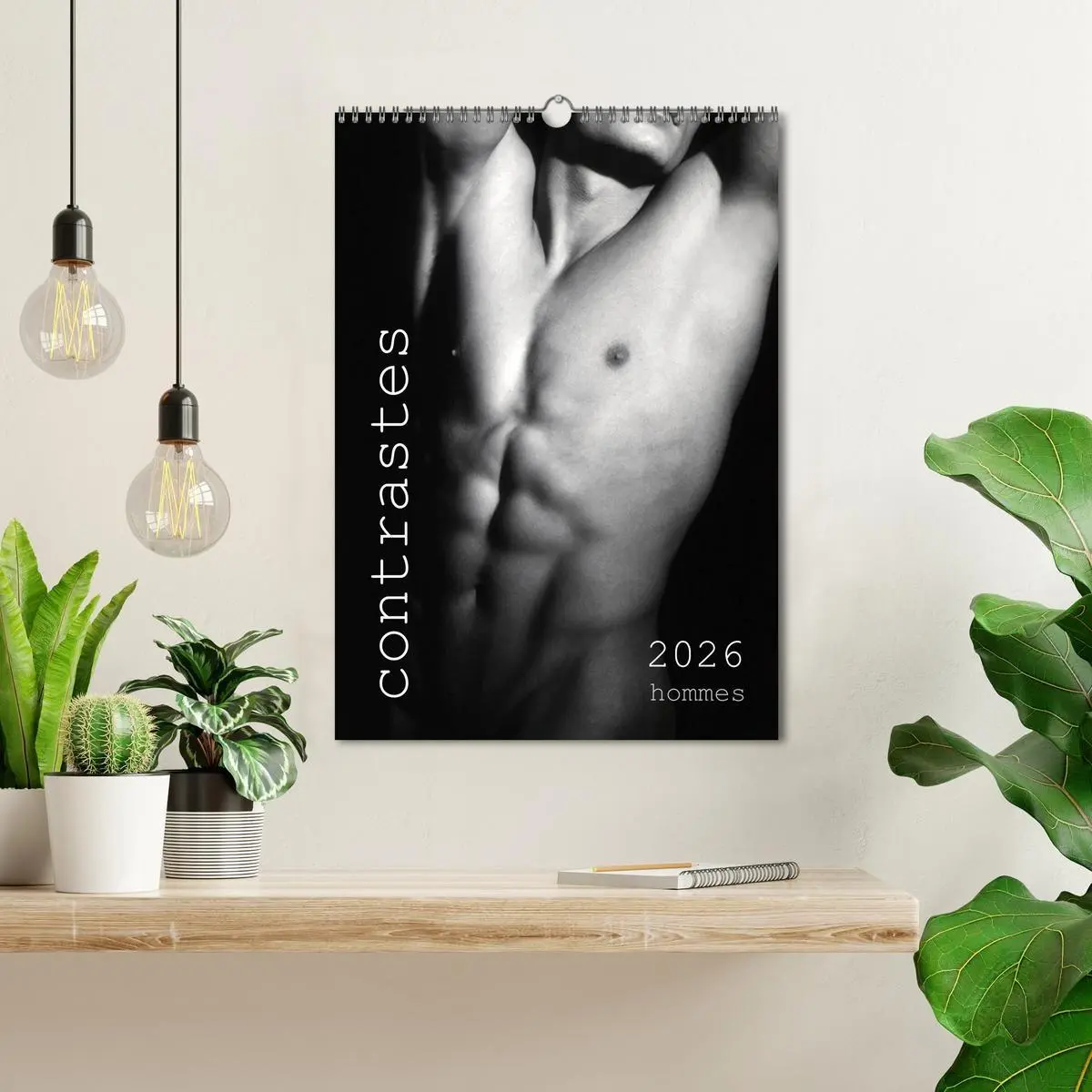 Bild: 9783516572650 | contrastes hommes (Calendrier mural 2026 DIN A3 horizontal),...