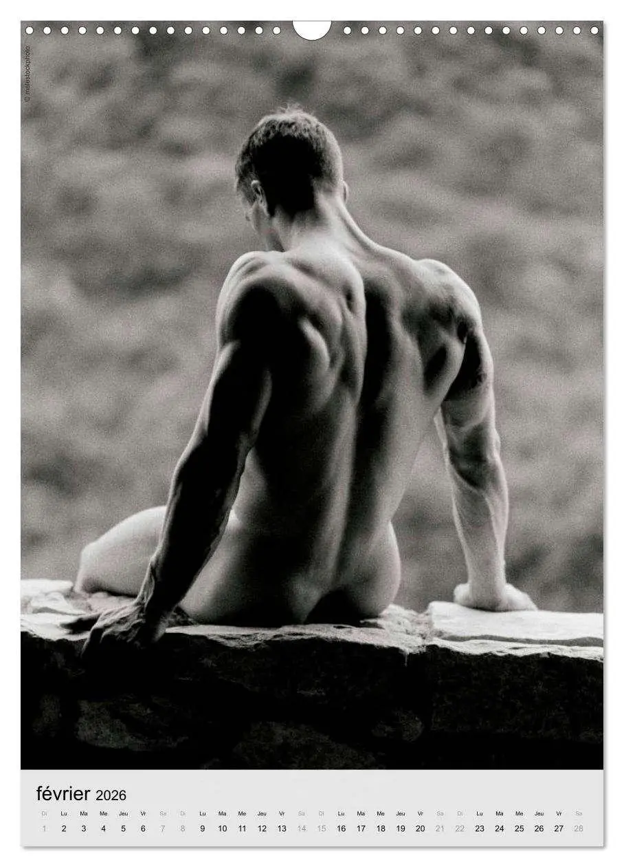 Bild: 9783516572650 | contrastes hommes (Calendrier mural 2026 DIN A3 horizontal),...