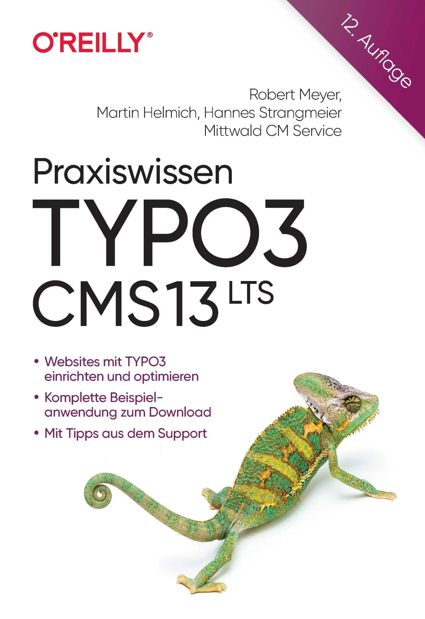 Cover: 9783960092650 | Praxiswissen TYPO3 CMS 13 LTS | Der praxisnahe Einstieg | Taschenbuch