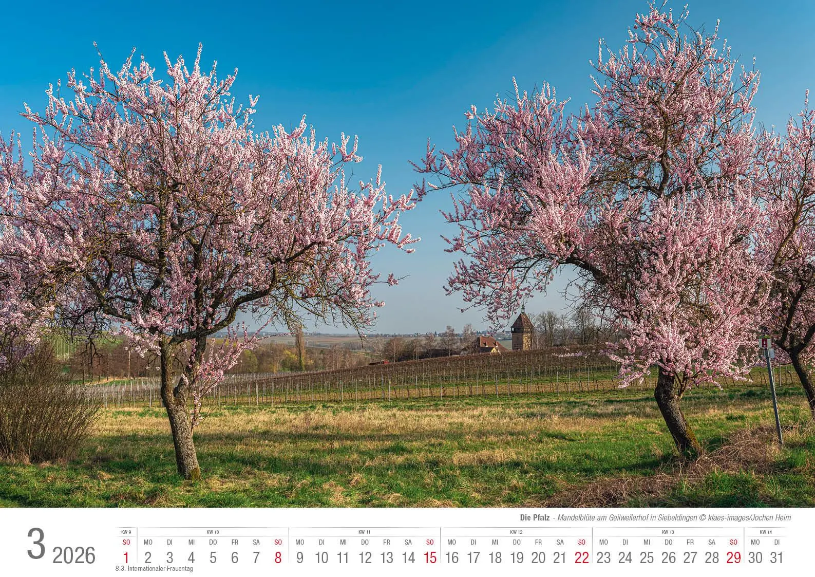 Bild: 9783965352650 | Die Pfalz 2026 Bildkalender A3 Spiralbindung | Holger Klaes | Kalender