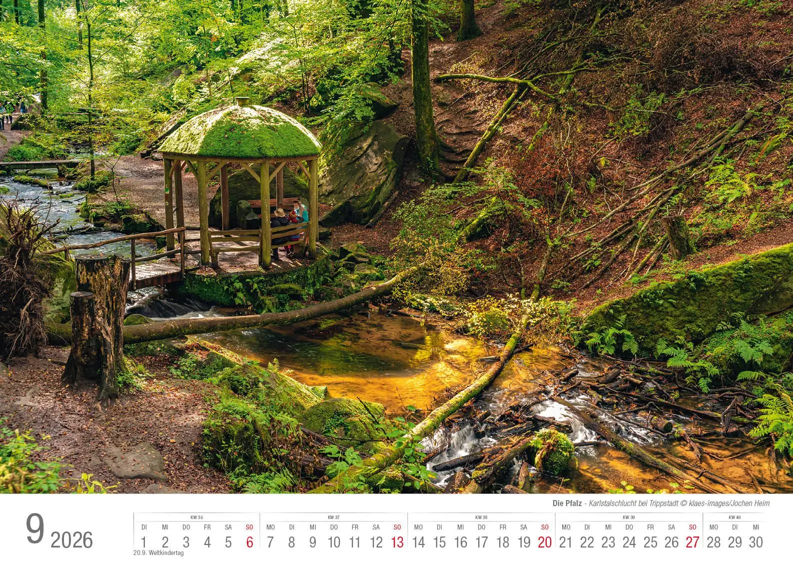 Bild: 9783965352650 | Die Pfalz 2026 Bildkalender A3 Spiralbindung | Holger Klaes | Kalender