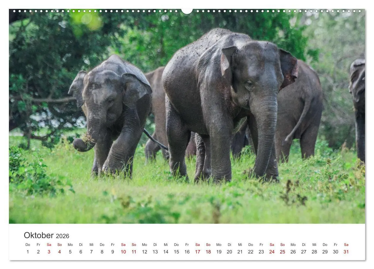 Bild: 9783457612750 | Sri Lanka - Eine einzigartige Trauminsel. (Wandkalender 2026 DIN A2...