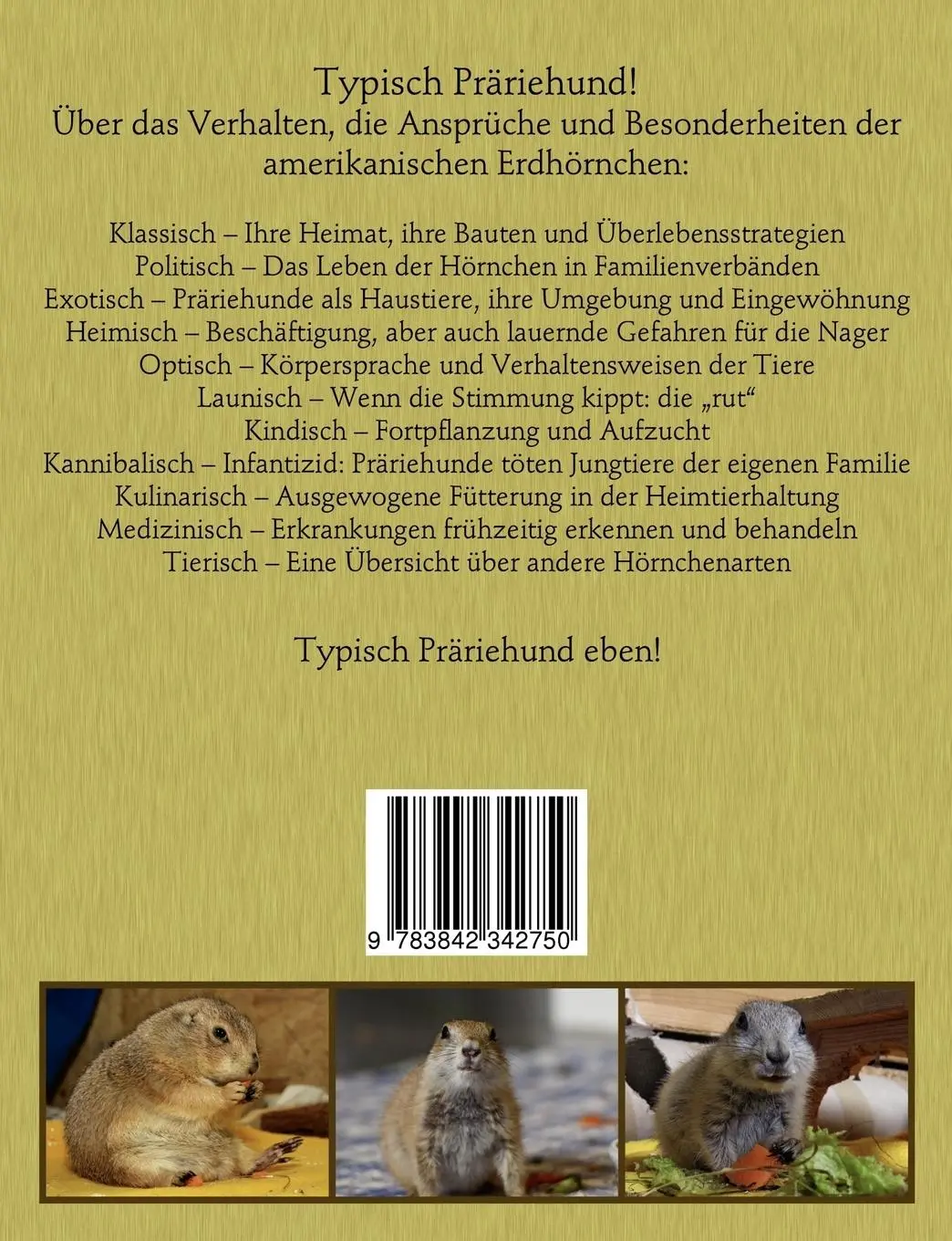 Rückseite: 9783842342750 | Typisch Präriehund! | Nina Rieck | Taschenbuch | 128 S. | Deutsch