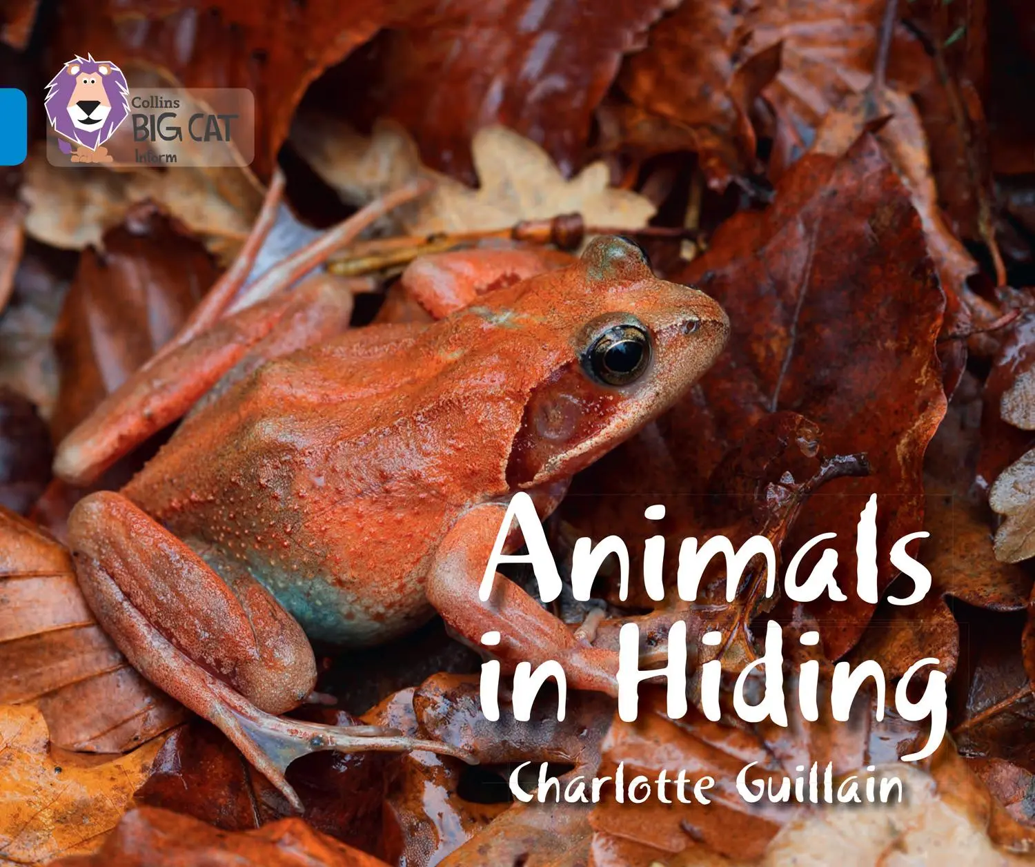 Cover: 9780007512850 | Animals in Hiding | Band 04/Blue | Charlotte Guillain | Taschenbuch