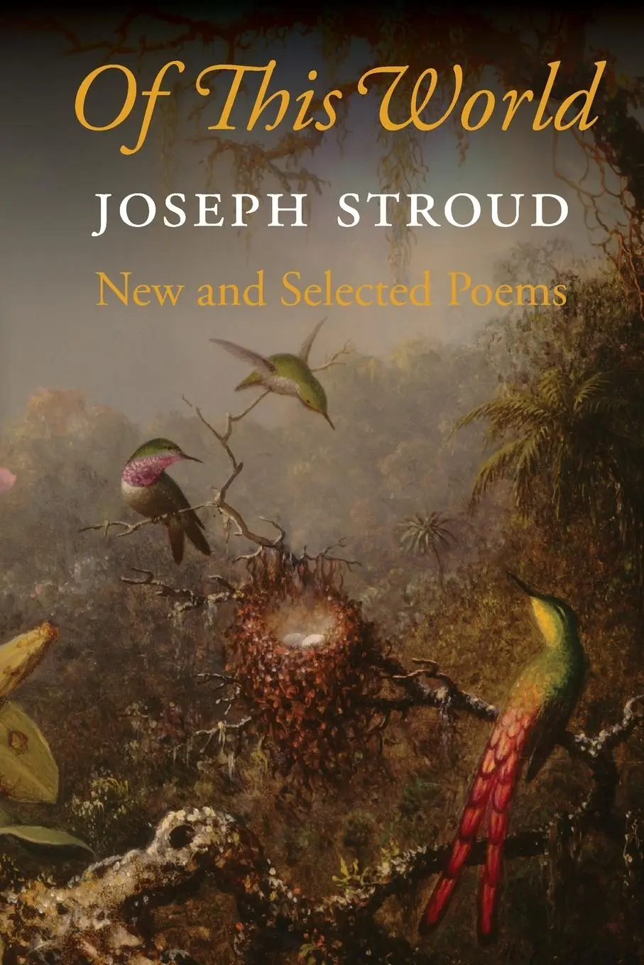 Cover: 9781556592850 | Of This World | New and Selected Poems | Joseph Stroud | Taschenbuch
