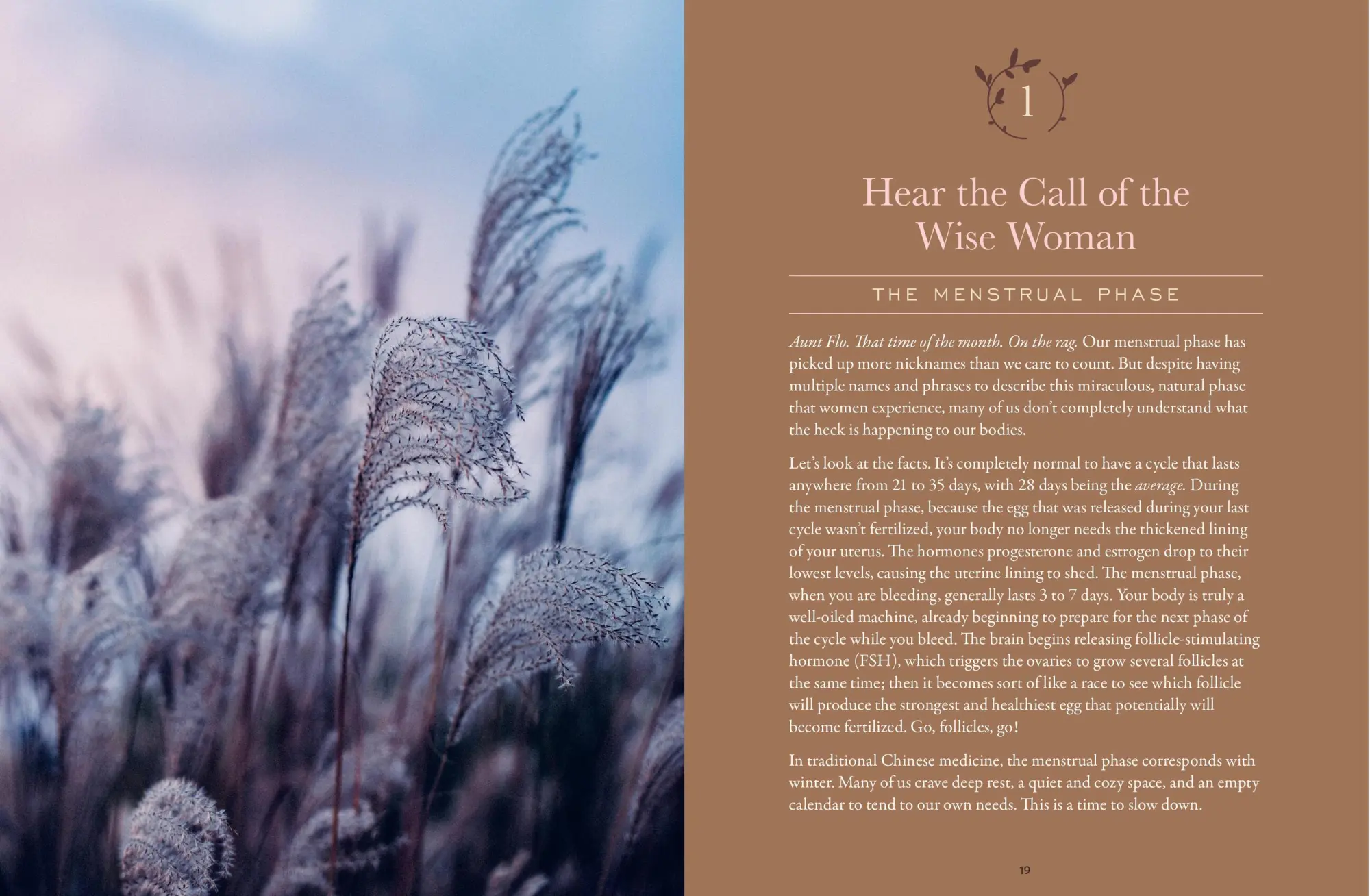Bild: 9781635862850 | The Moon Cycle Cookbook | Devon Loftus (u. a.) | Taschenbuch | 2021