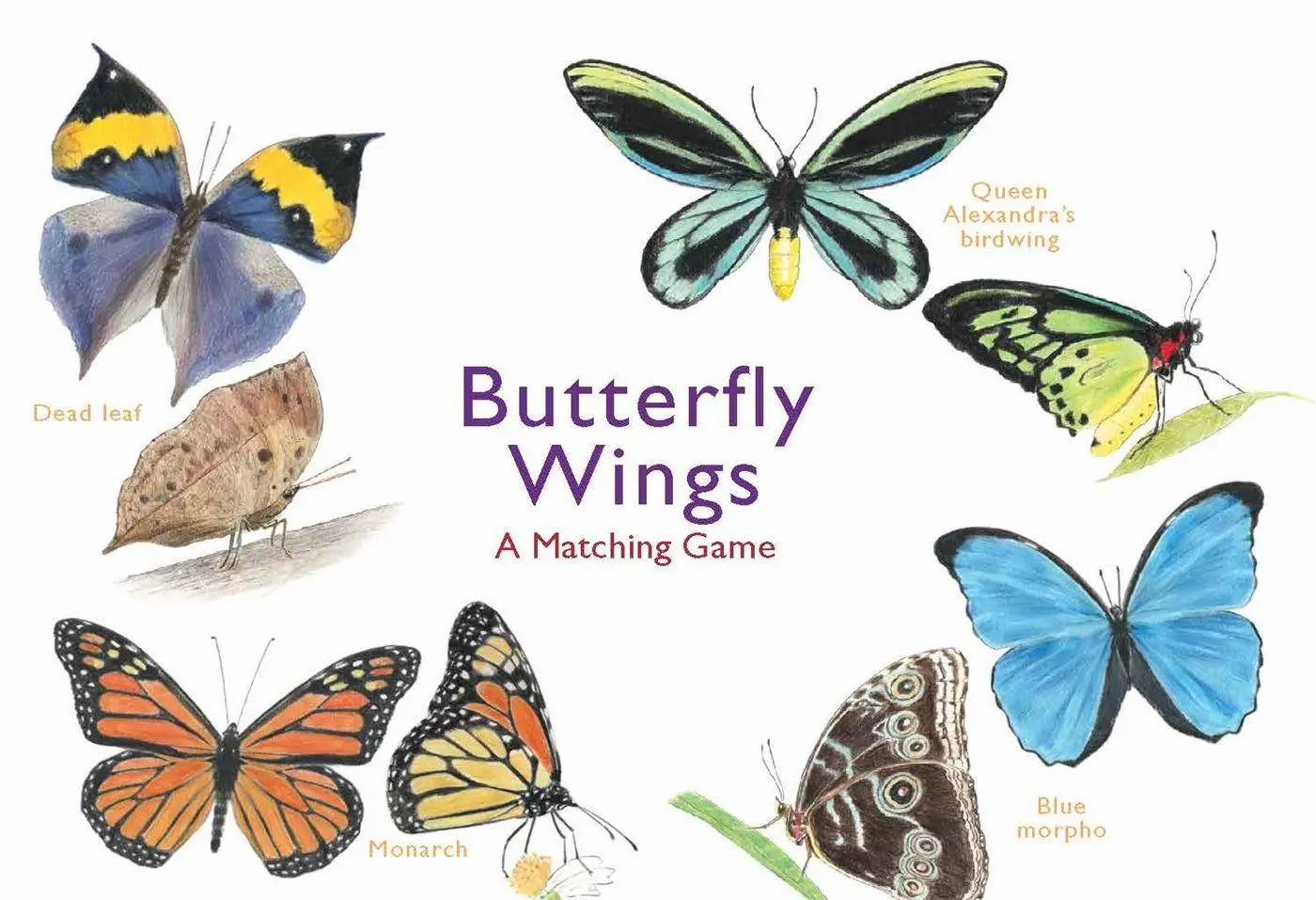 Cover: 9781786272850 | Butterfly Wings | A Matching Game | Christine Berrie (u. a.) | Spiel