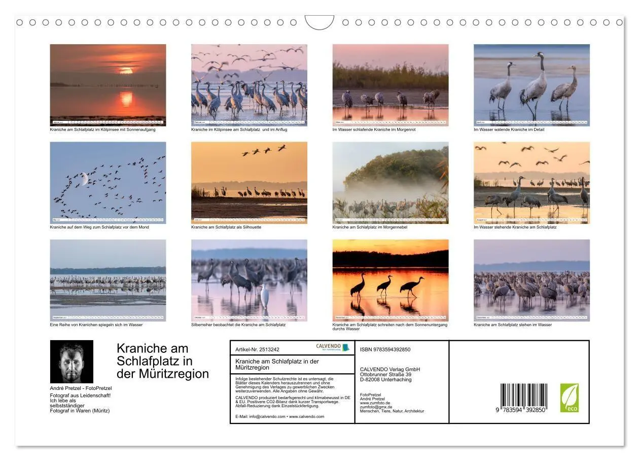 Bild: 9783594392850 | Kraniche am Schlafplatz in der Müritzregion (Wandkalender 2027 DIN...