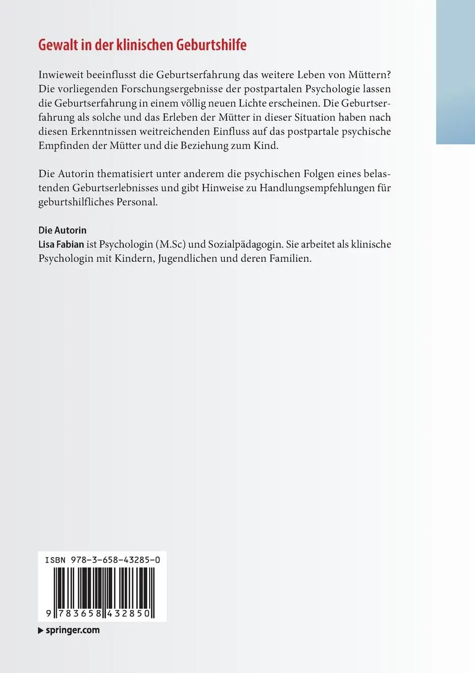 Rückseite: 9783658432850 | Gewalt in der klinischen Geburtshilfe | Lisa Fabian | Taschenbuch