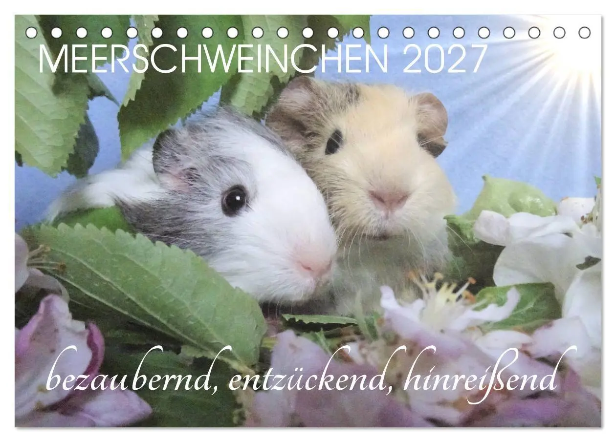 Cover: 9783569562950 | Meerschweinchen 2027 - bezaubernd, hinreißend, entzückend...