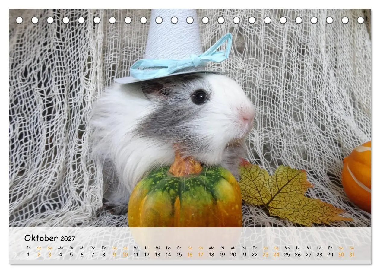 Bild: 9783569562950 | Meerschweinchen 2027 - bezaubernd, hinreißend, entzückend...
