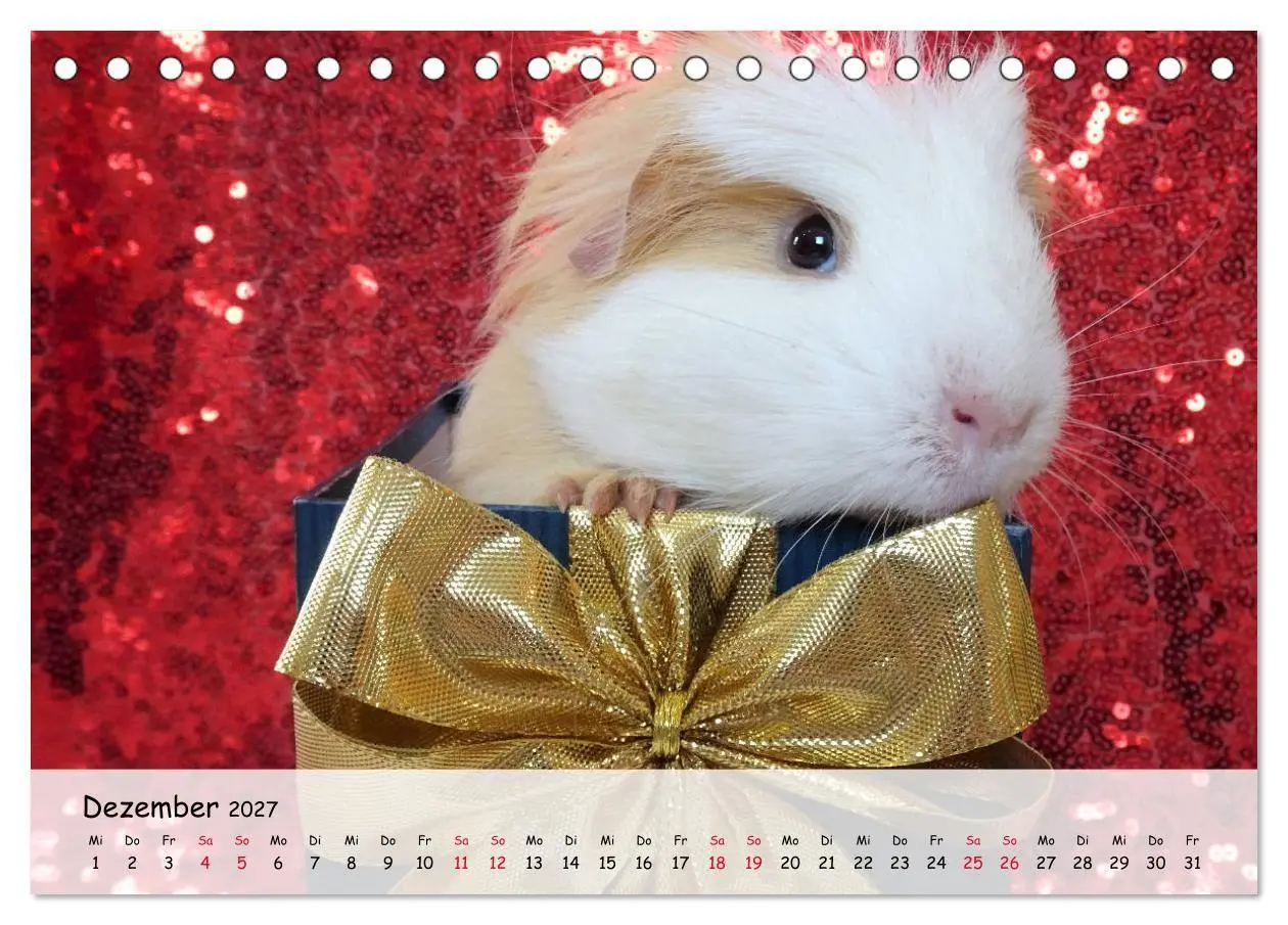 Bild: 9783569562950 | Meerschweinchen 2027 - bezaubernd, hinreißend, entzückend...