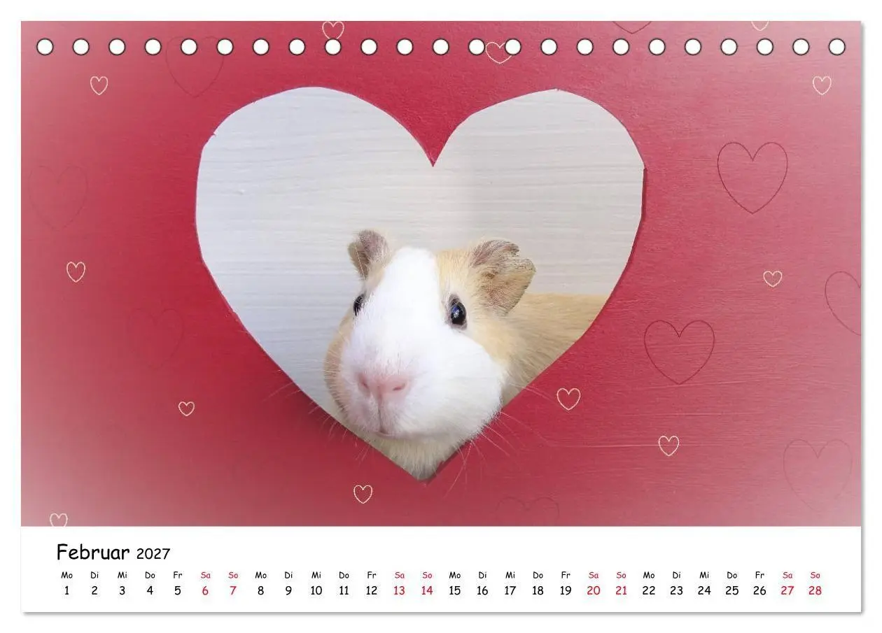 Bild: 9783569562950 | Meerschweinchen 2027 - bezaubernd, hinreißend, entzückend...