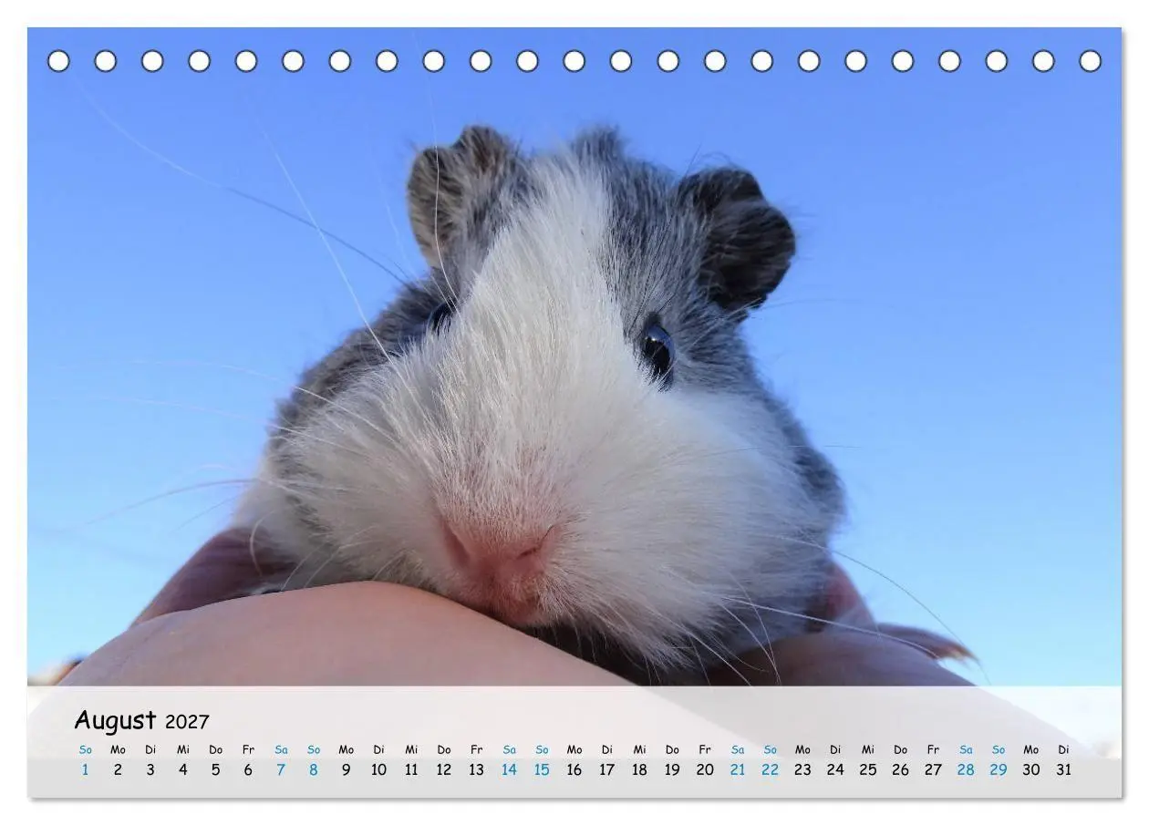 Bild: 9783569562950 | Meerschweinchen 2027 - bezaubernd, hinreißend, entzückend...
