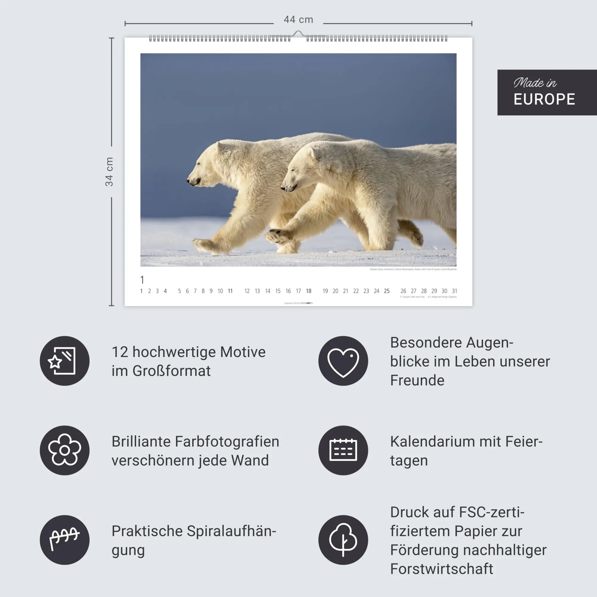 Bild: 9783839902950 | Bären Kalender 2026 | Kalender | Tierkalender Weingarten | 14 S.