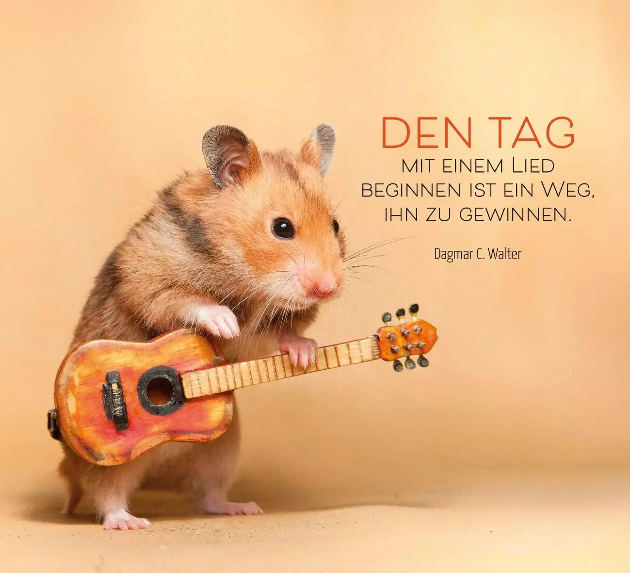 Bild: 9783848502950 | Ich denk ganz fest an dich | Groh Verlag | Taschenbuch | 52 S. | 2025