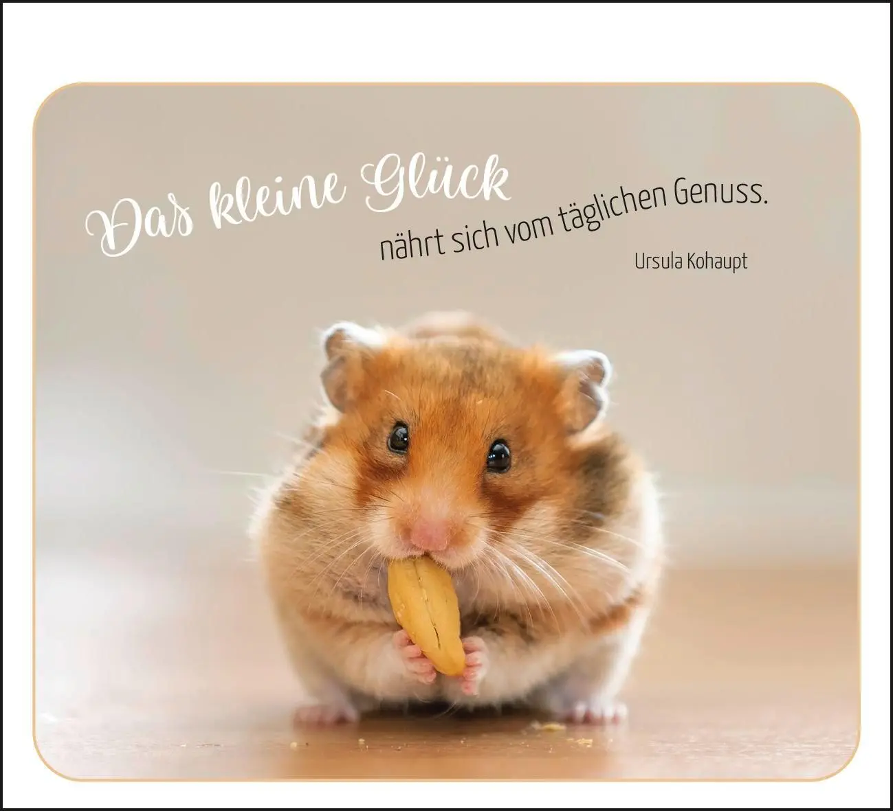 Bild: 9783848502950 | Ich denk ganz fest an dich | Groh Verlag | Taschenbuch | 52 S. | 2025