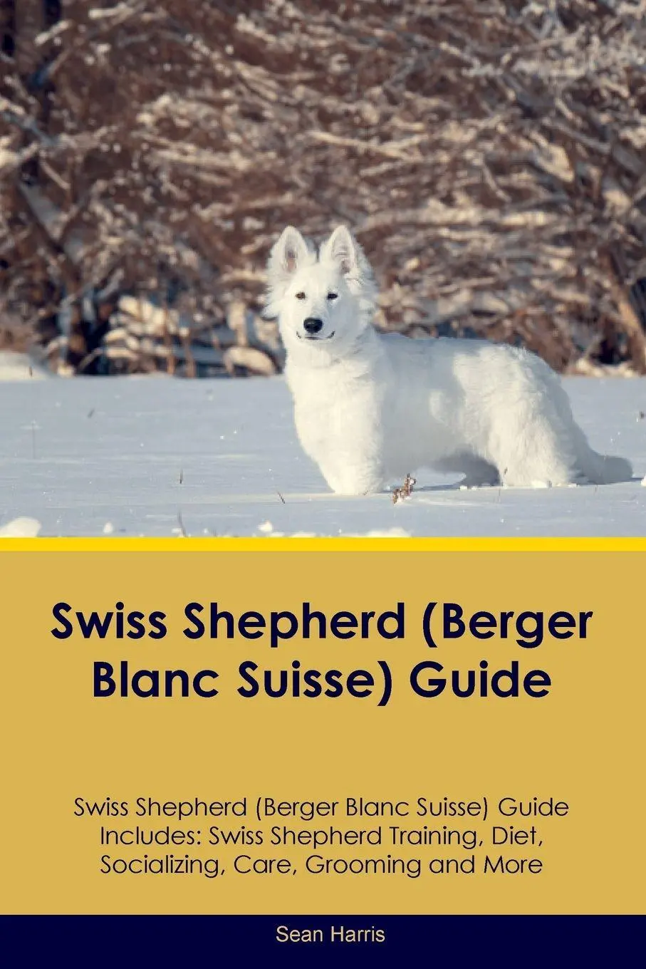 Cover: 9781395863050 | Swiss Shepherd (Berger Blanc Suisse) Guide Swiss Shepherd Guide...