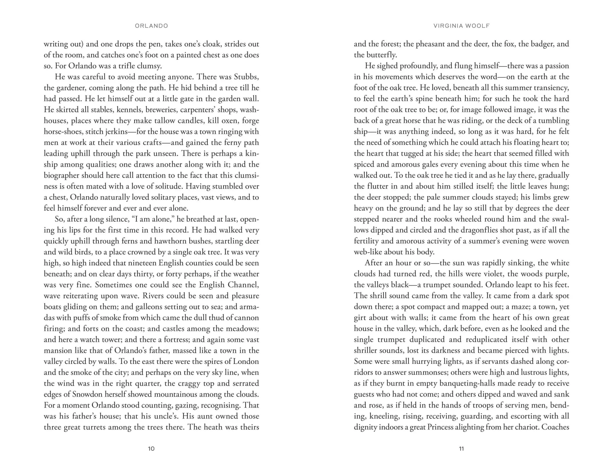 Bild: 9781454953050 | Orlando | A Biography | Virginia Woolf | Buch | Signature Editions