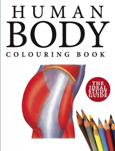 Cover: 9781838863050 | Human Body Colouring Book | Human Anatomy in 215 Illustrations | Buch