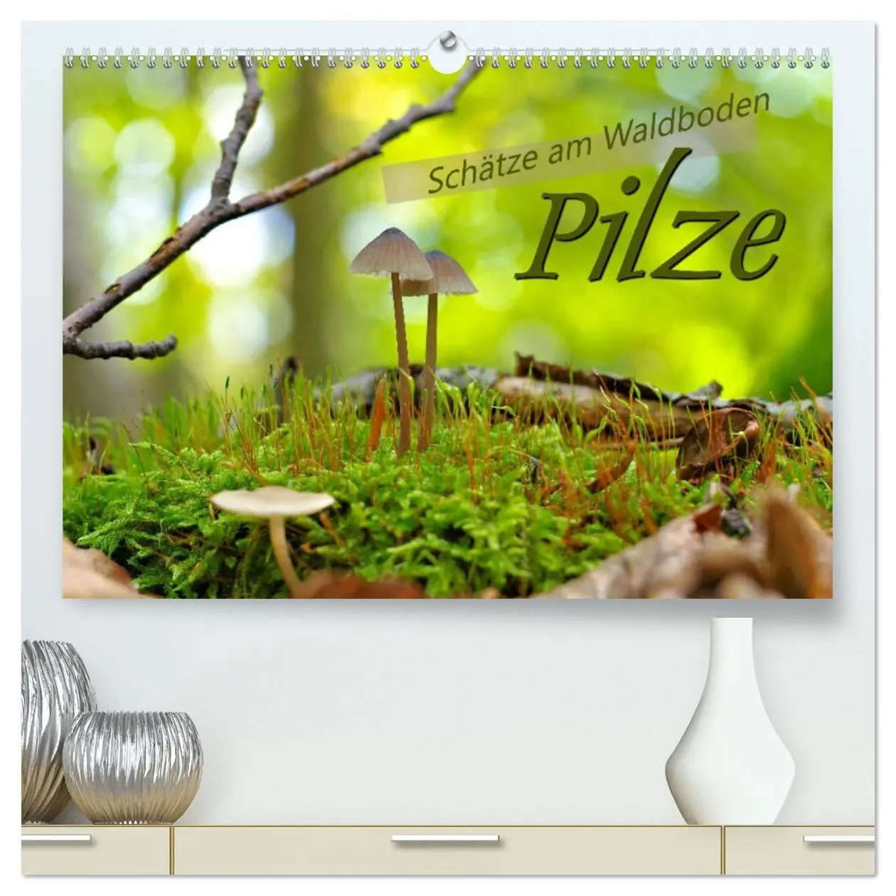 Cover: 9783457413050 | Pilze - Schätze am Waldboden (hochwertiger Premium Wandkalender...