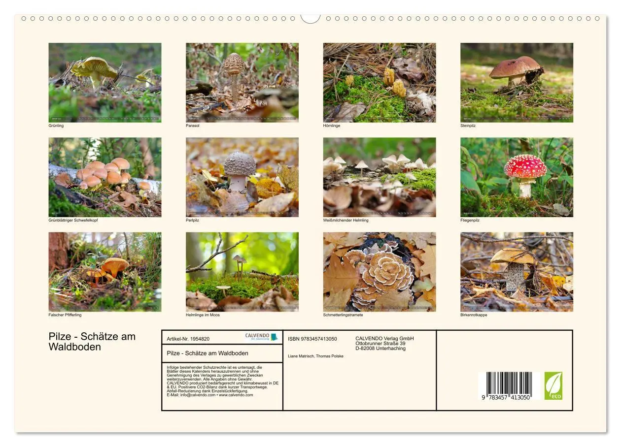 Bild: 9783457413050 | Pilze - Schätze am Waldboden (hochwertiger Premium Wandkalender...