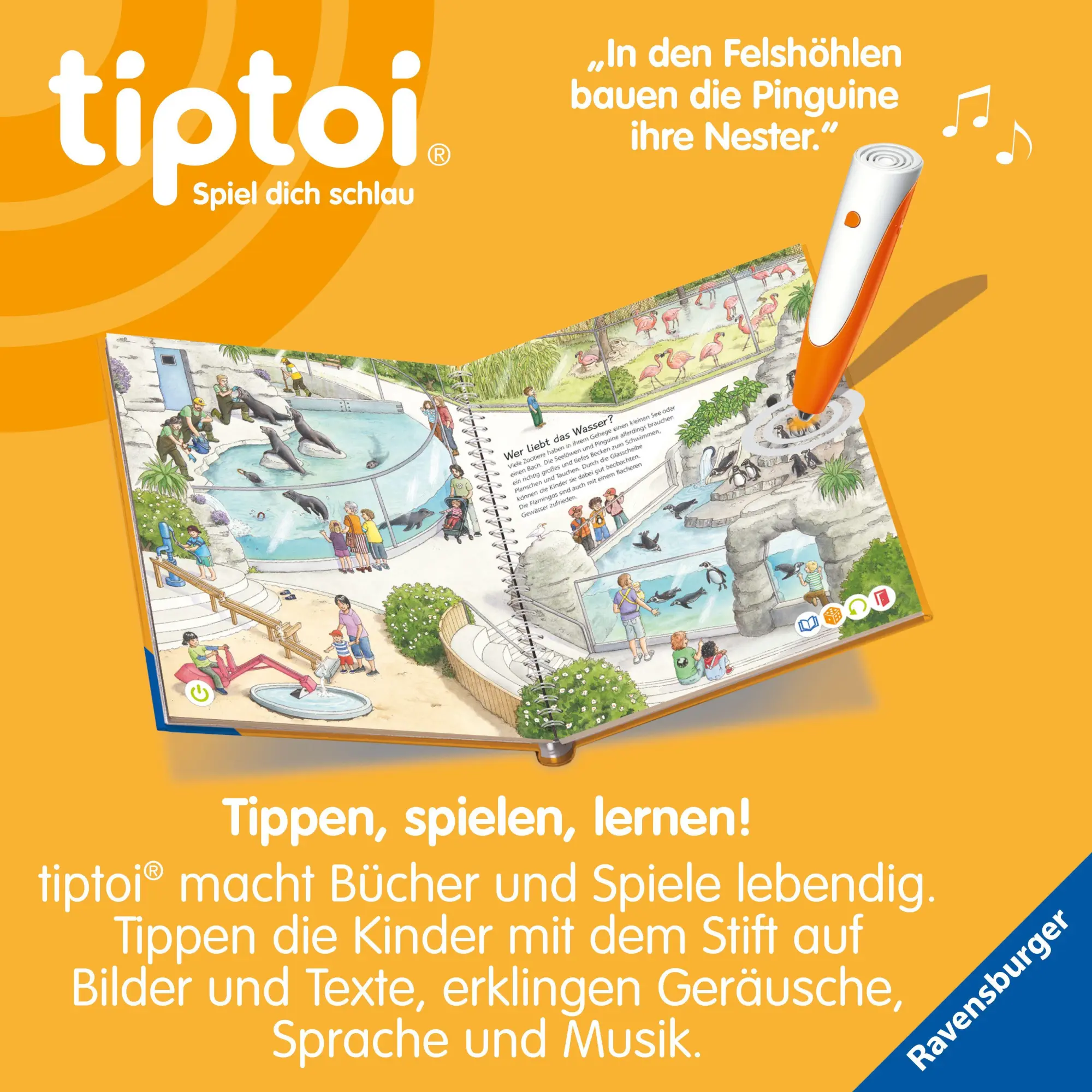 Bild: 9783473493050 | tiptoi® Wieso? Weshalb? Warum? - Tiere im Zoo | Inka Friese | Buch