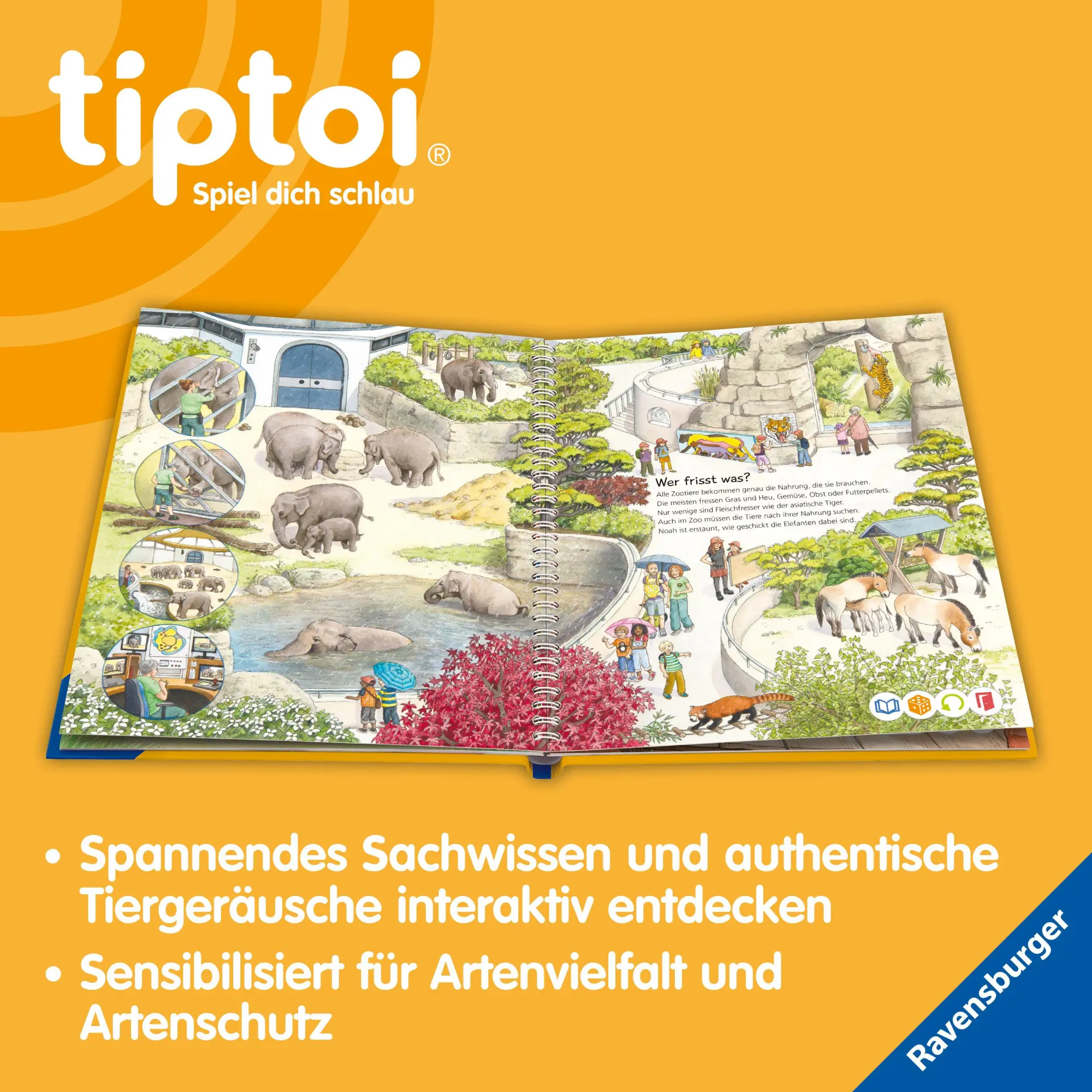 Bild: 9783473493050 | tiptoi® Wieso? Weshalb? Warum? - Tiere im Zoo | Inka Friese | Buch