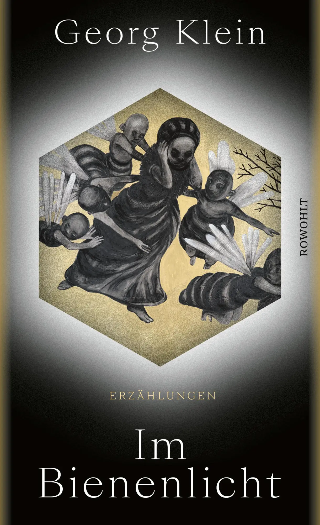 Cover: 9783498003050 | Im Bienenlicht | Georg Klein | Buch | 240 S. | Deutsch | 2023