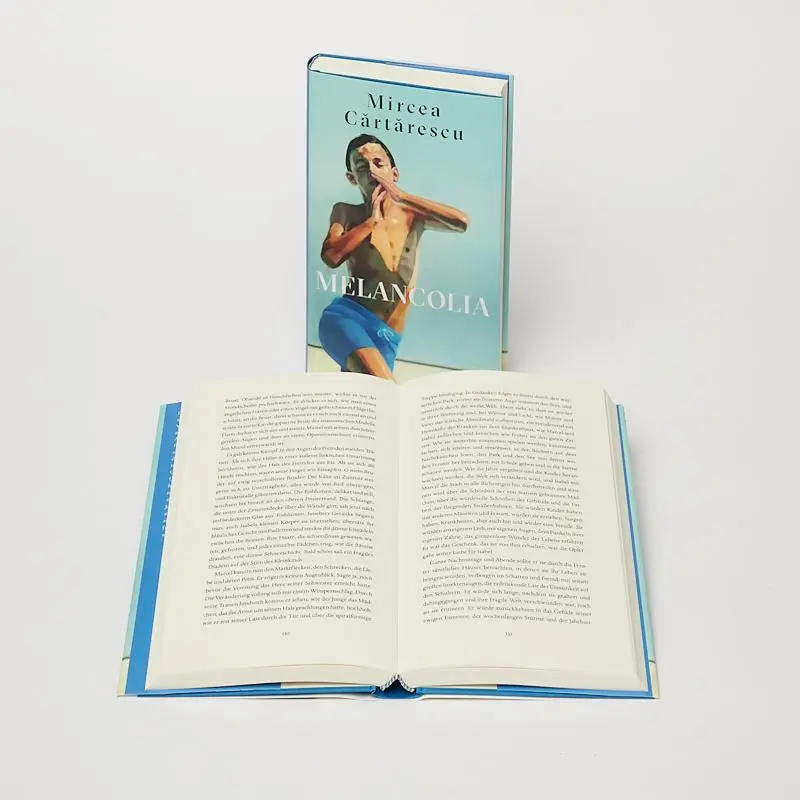 Bild: 9783552073050 | Melancolia | Erzählungen | Mircea Cartarescu | Buch | 272 S. | Deutsch