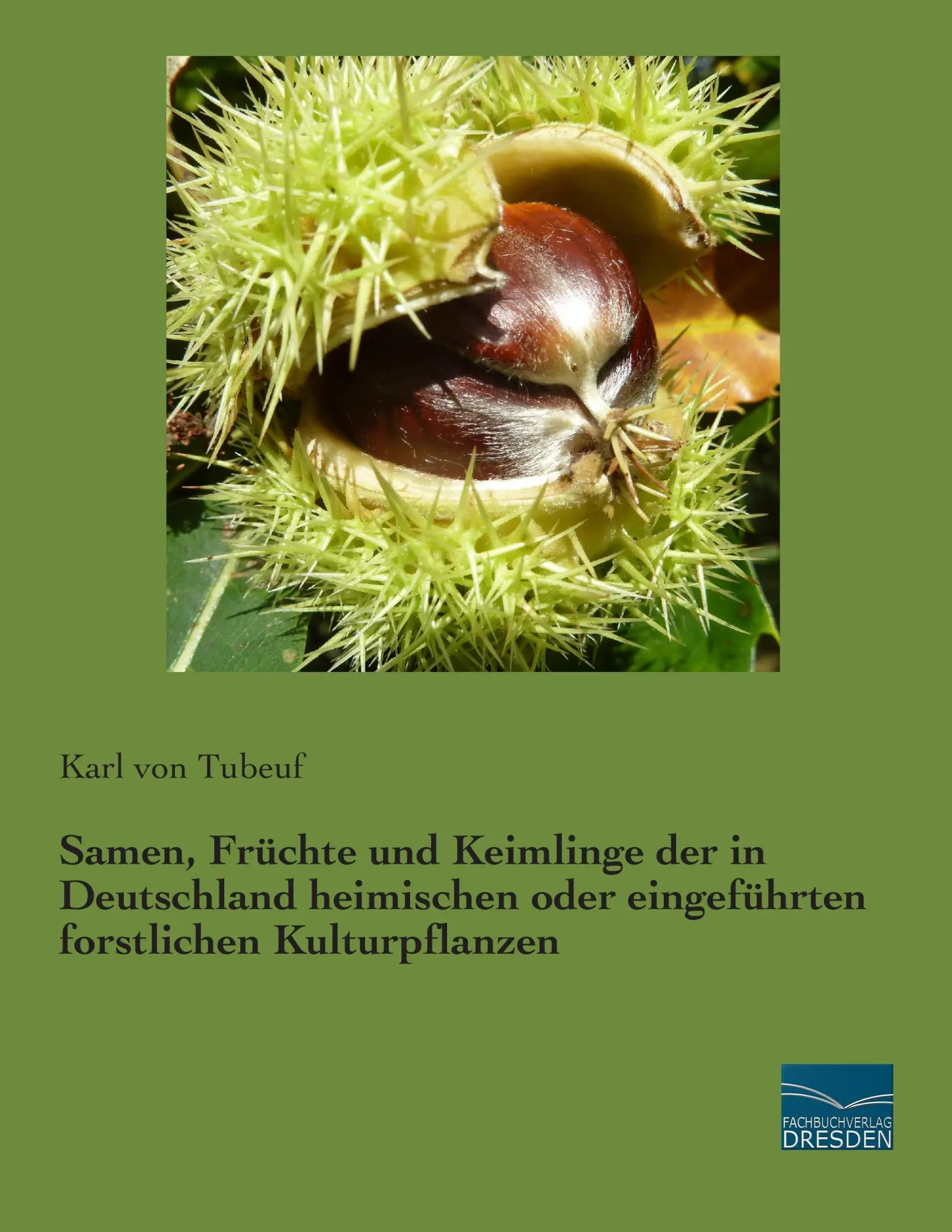 Cover: 9783956923050 | Samen, Früchte und Keimlinge der in Deutschland heimischen oder...