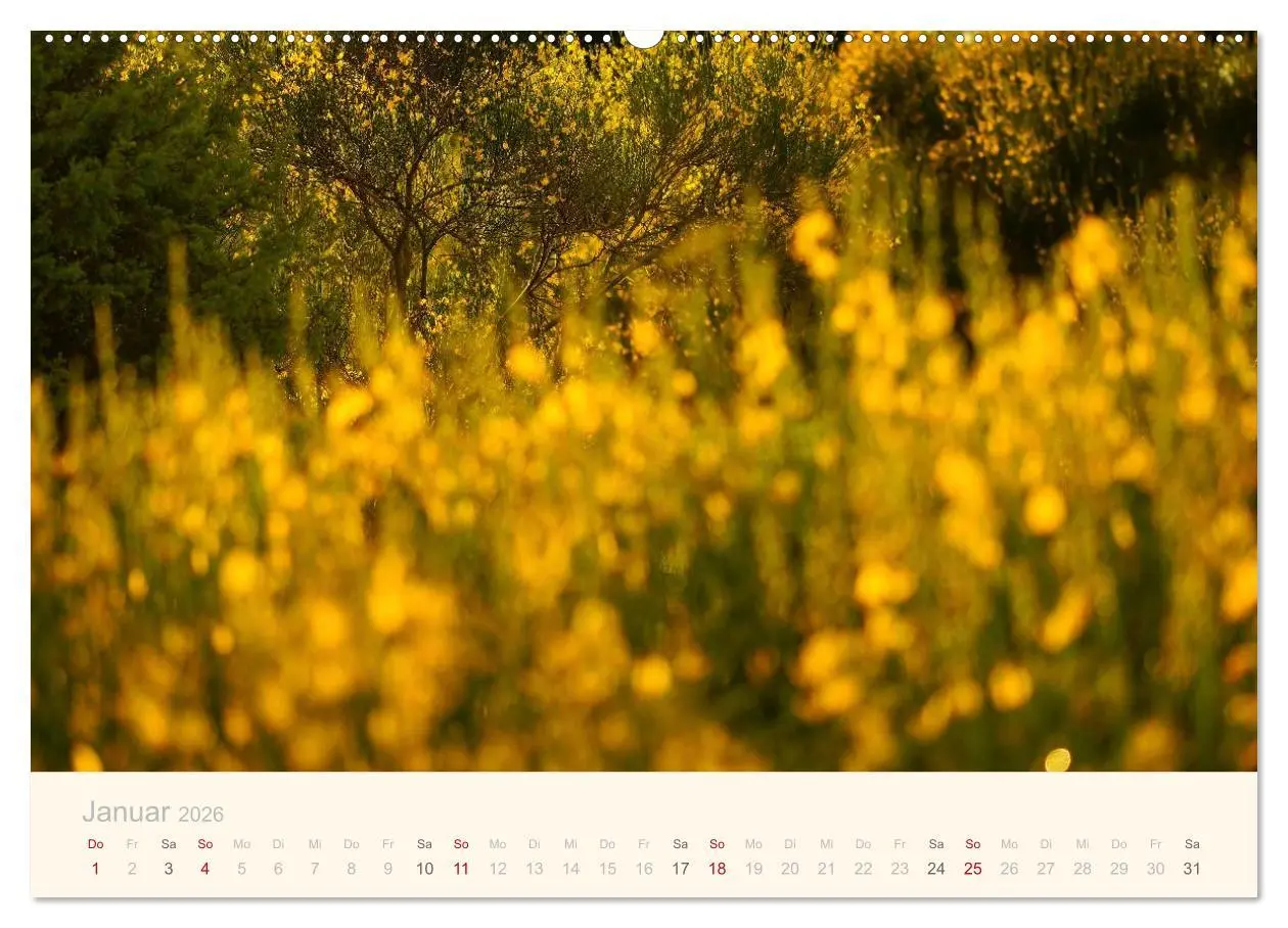 Bild: 9783516043150 | Unterwegs in den Marken (hochwertiger Premium Wandkalender 2026 DIN...