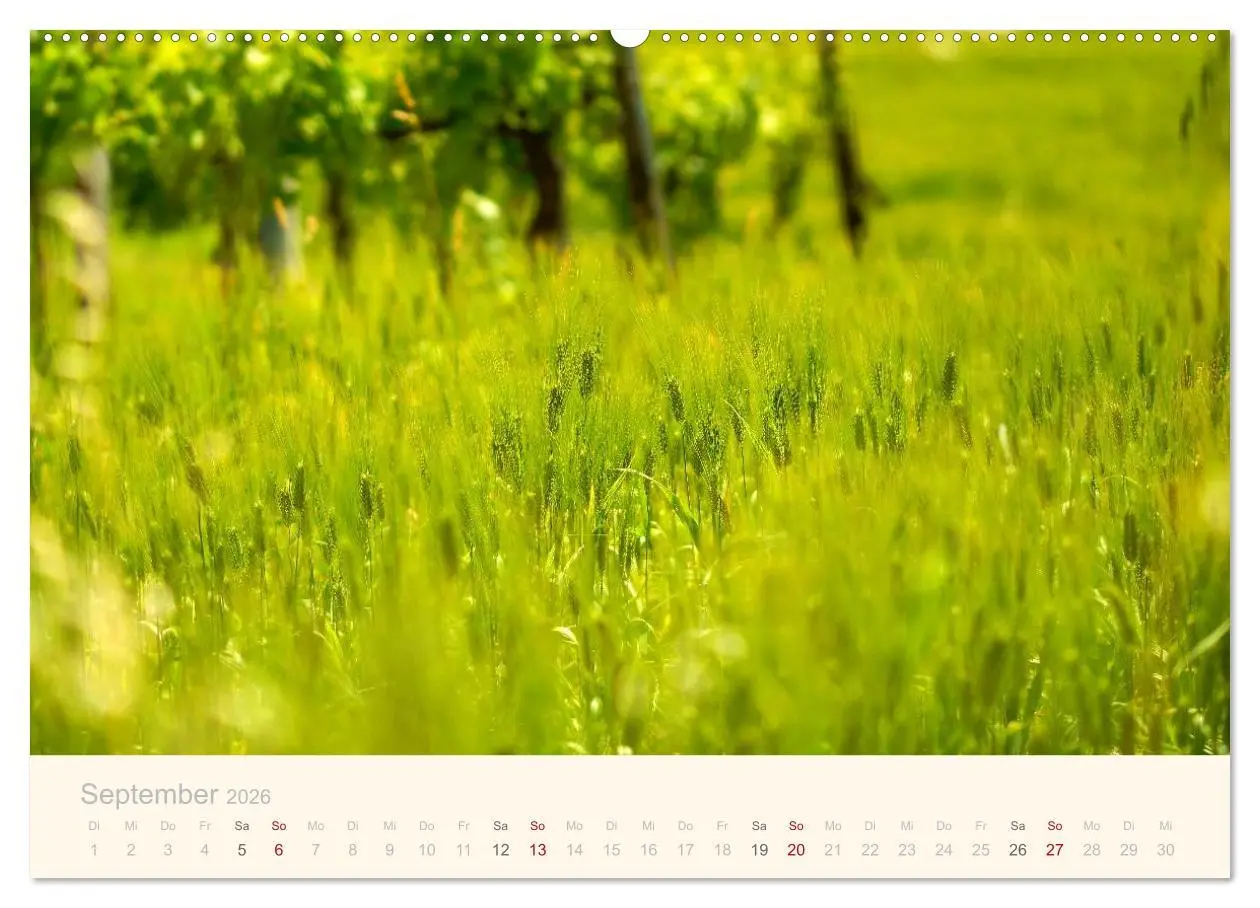 Bild: 9783516043150 | Unterwegs in den Marken (hochwertiger Premium Wandkalender 2026 DIN...