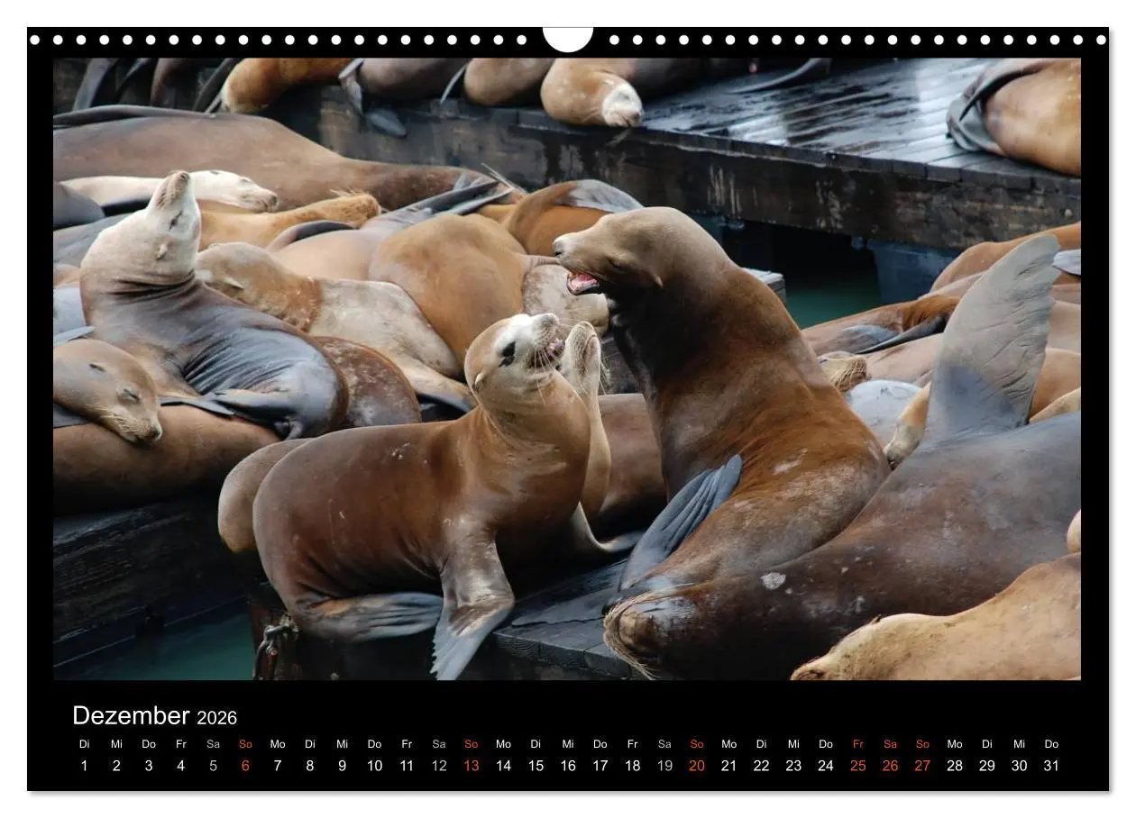Bild: 9783516113150 | USA - Nordwesten (Wandkalender 2026 DIN A3 quer), CALVENDO...