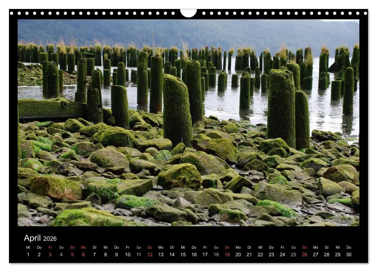 Bild: 9783516113150 | USA - Nordwesten (Wandkalender 2026 DIN A3 quer), CALVENDO...