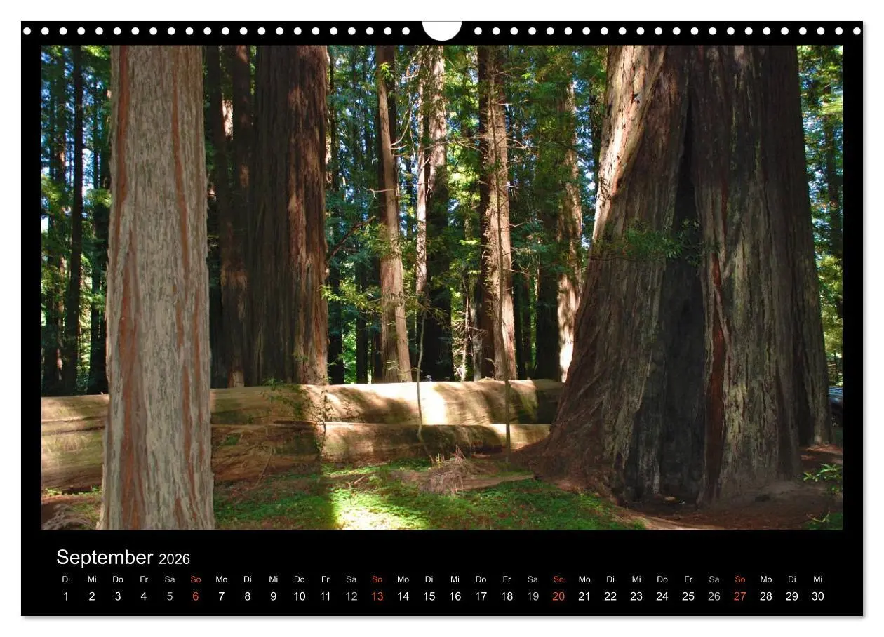 Bild: 9783516113150 | USA - Nordwesten (Wandkalender 2026 DIN A3 quer), CALVENDO...