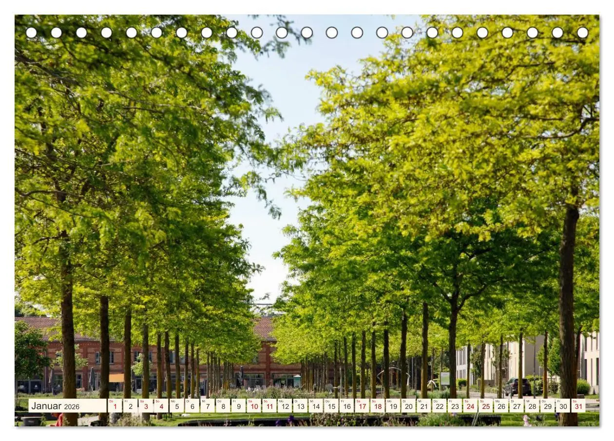 Bild: 9783516593150 | So schön ist Landau (Tischkalender 2026 DIN A5 quer), CALVENDO...