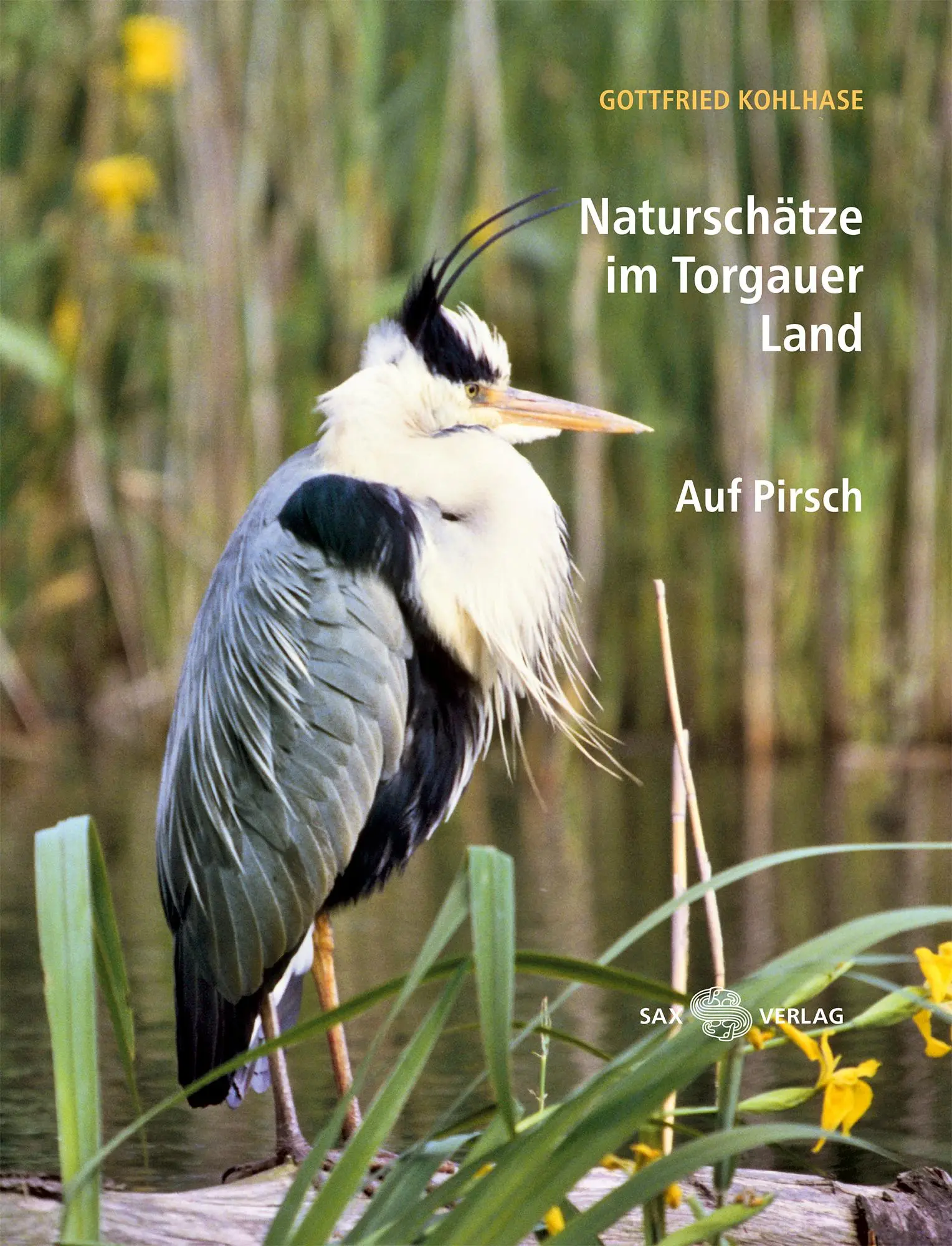 Cover: 9783867293150 | Naturschätze im Torgauer Land | Auf Pirsch | Gottfried Kohlhase | Buch