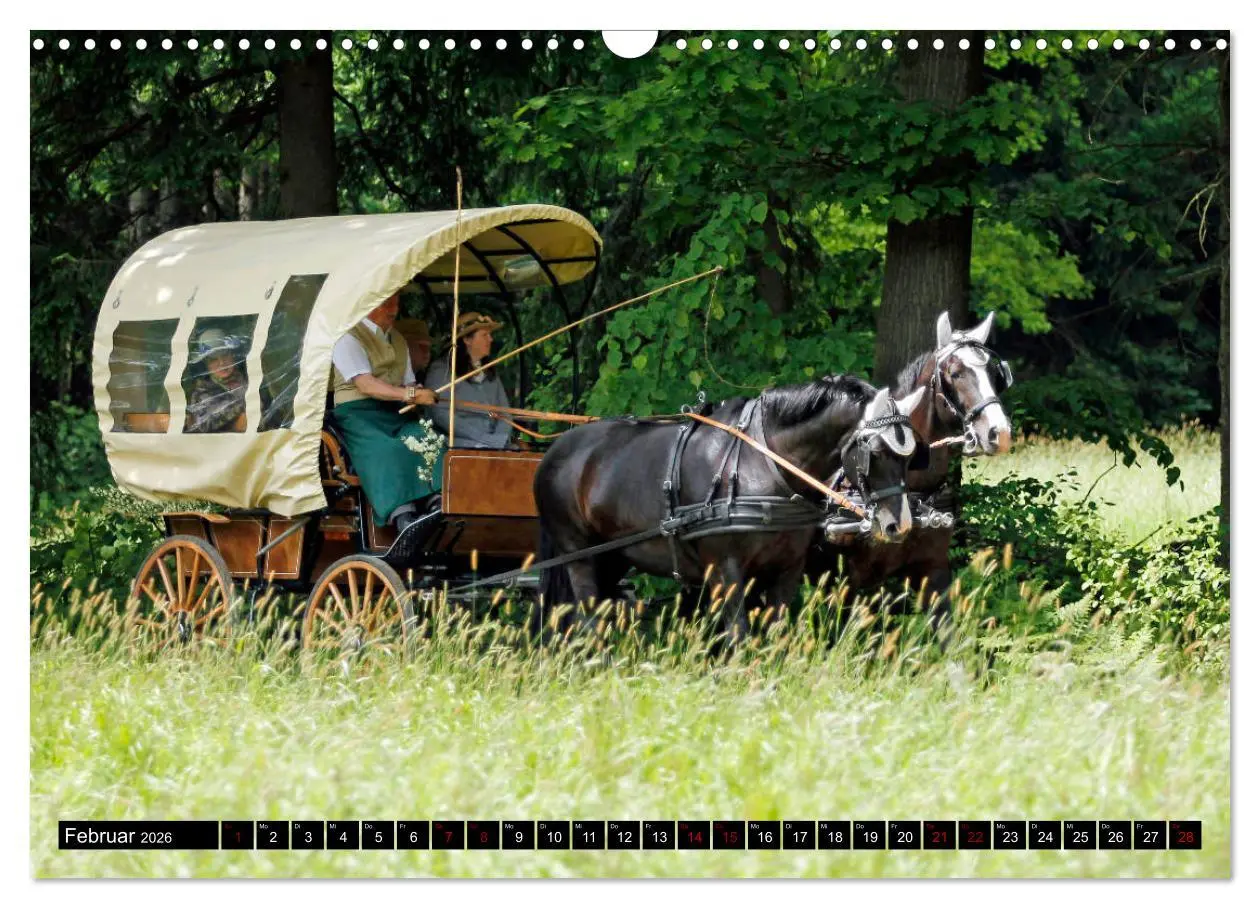 Bild: 9783457873250 | Schwere Warmblüter 2026 (Wandkalender 2026 DIN A3 quer), CALVENDO...