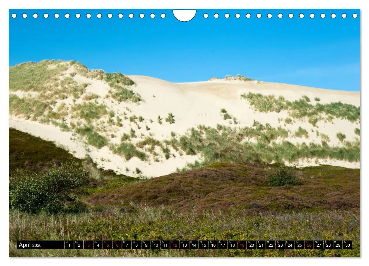 Bild: 9783516103250 | Sylt in Bildern (Wandkalender 2026 DIN A4 quer), CALVENDO...