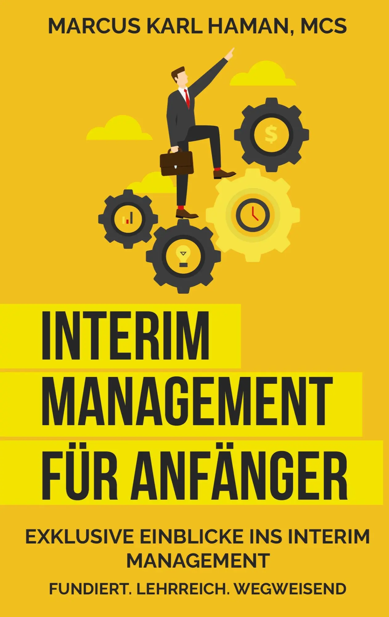 Cover: 9783732233250 | Interim Management für Anfänger | Aller Anfang ist schwer! | Msc Haman