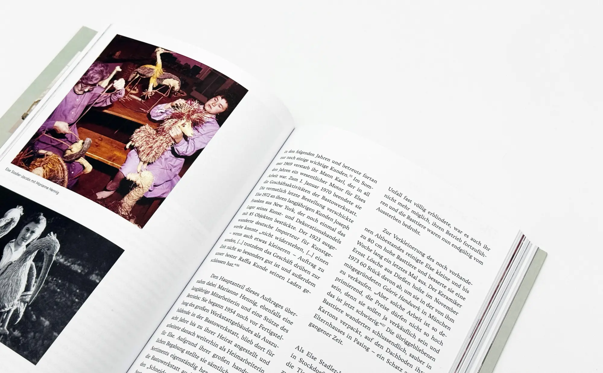 Bild: 9783422803350 | Bastowerkstatt | Else Stadler-Jacobs und ihre Tiere aus Bast | Buch