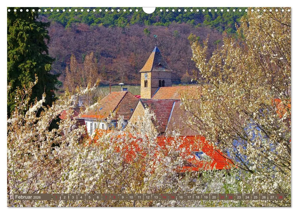 Bild: 9783457793350 | Mandelblütenzauber an der Deutschen Weinstraße (Wandkalender 2026...