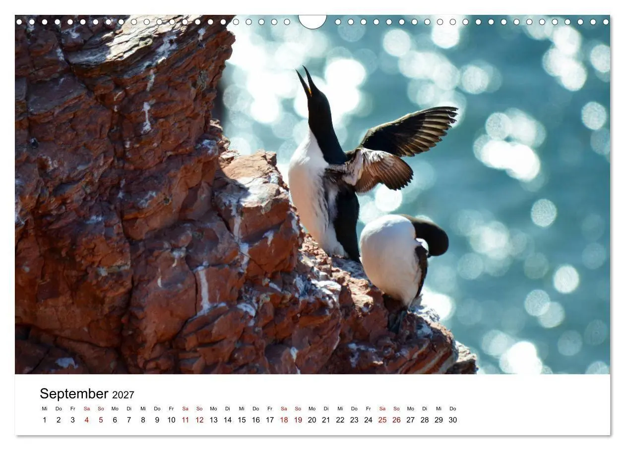 Bild: 9783569803350 | Mitreisekalender 2027 Helgoland (Wandkalender 2027 DIN A3 quer),...