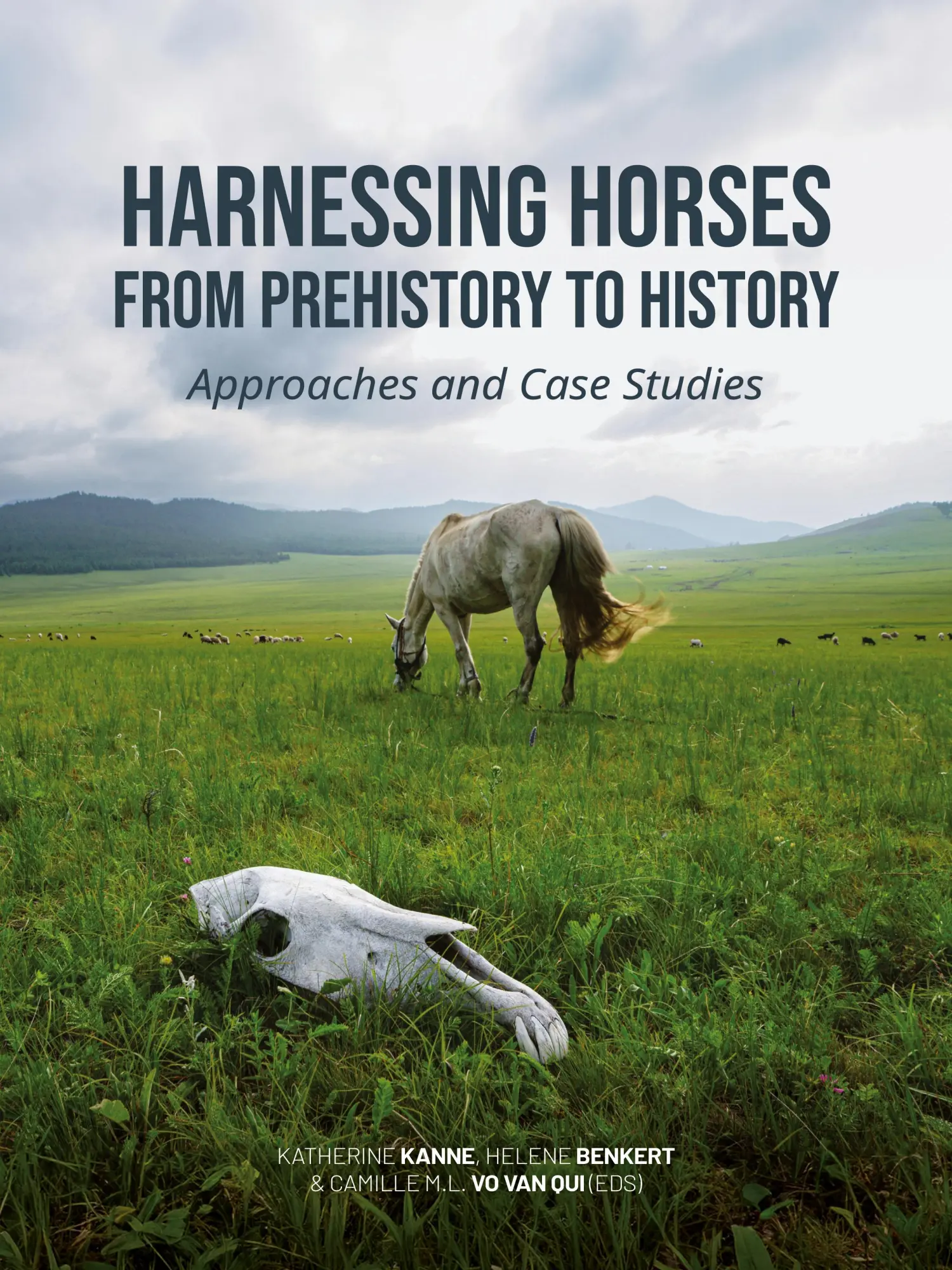 Cover: 9789464263350 | Harnessing Horses from Prehistory to History | Katherine Kanne (u. a.)