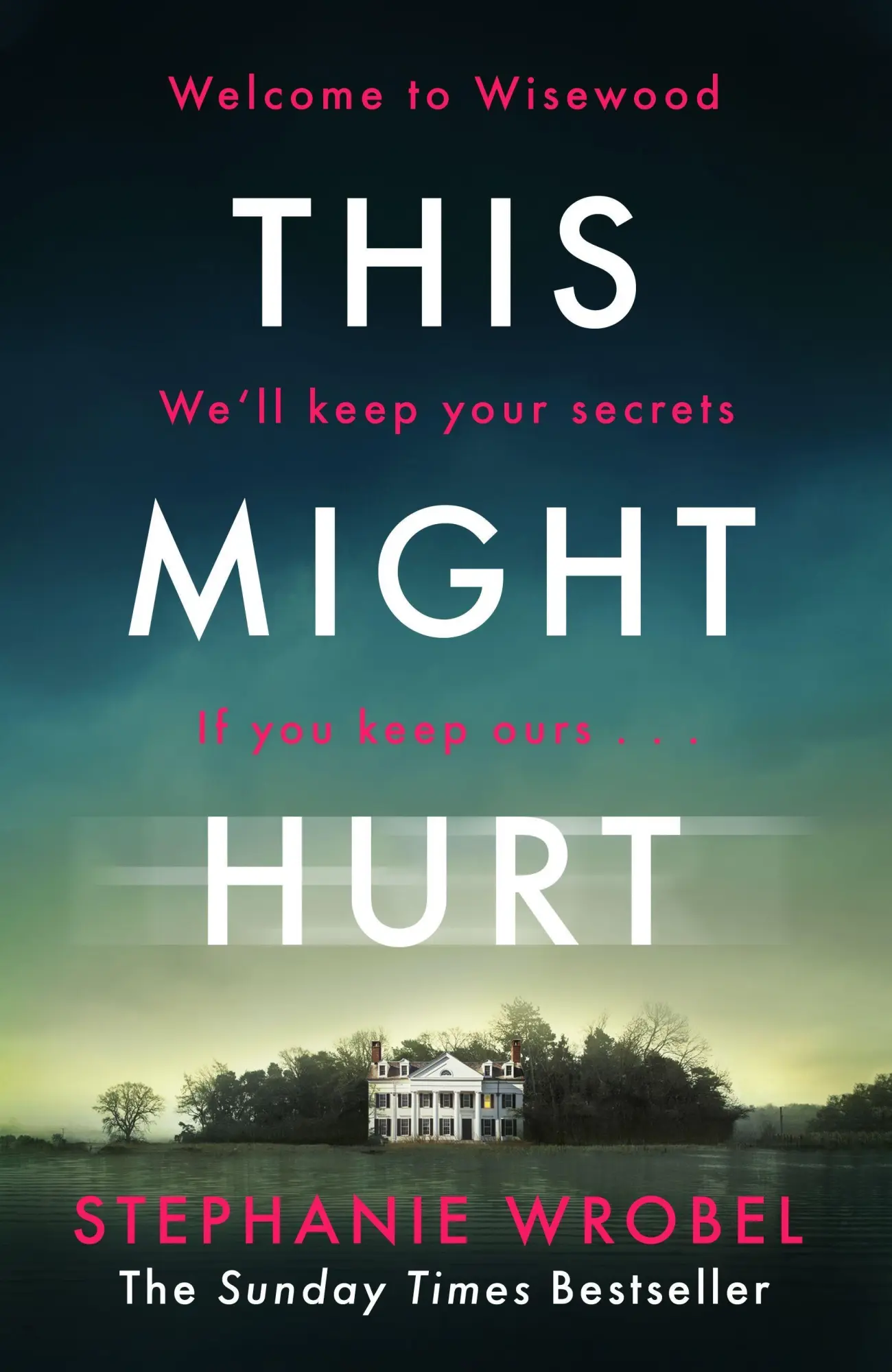 Cover: 9781405943550 | This Might Hurt | Stephanie Wrobel | Taschenbuch | B-format paperback