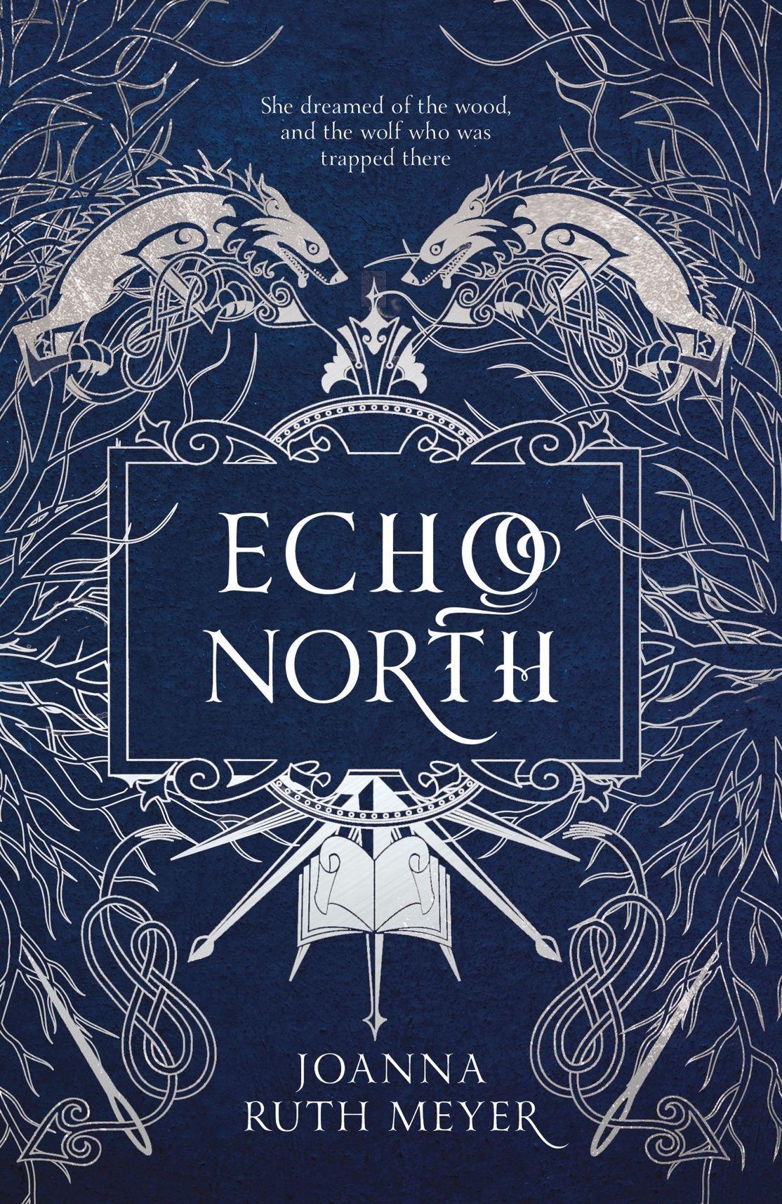 Cover: 9781782693550 | Echo North | Joanna Ruth Meyer | Taschenbuch | Kartoniert / Broschiert
