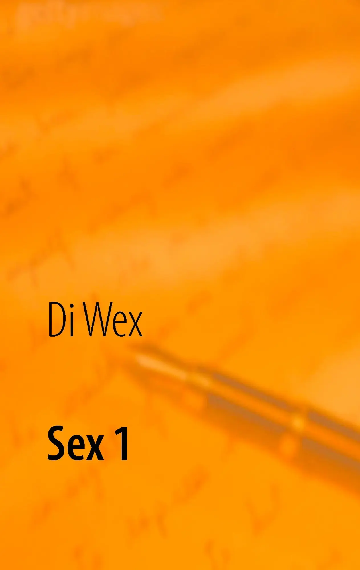 Cover: 9783735723550 | Sex 1 | Sex, seine Geliebte und deren Sohn | Die Wex | Taschenbuch